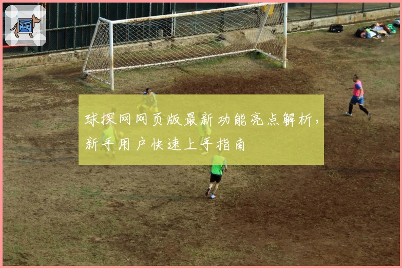 球探网网页版最新功能亮点解析，新手用户快速上手指南