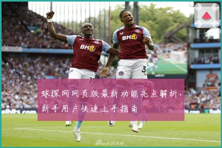 球探网网页版最新功能亮点解析,新手用户快速上手指南