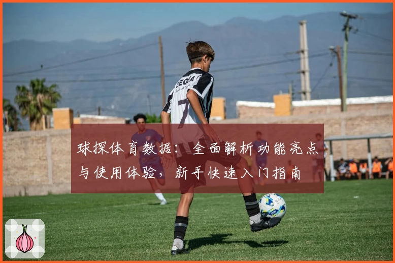 球探体育数据：全面解析功能亮点与使用体验，新手快速入门指南