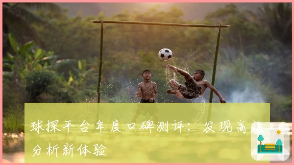 球探平台年度口碑测评：发现高效分析新体验